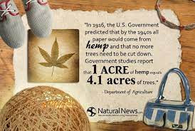 Hemp: A Guide to its Uses and Benefits