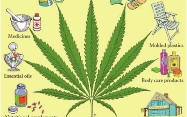 THE 50,000 USES OF HEMP